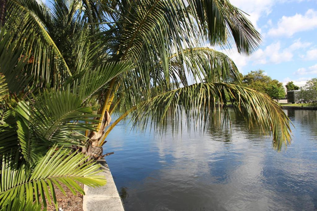 The Cabanas Guesthouse & Spa - Gay Resort Catering To Gay Men Oakland Park Eksteriør bilde